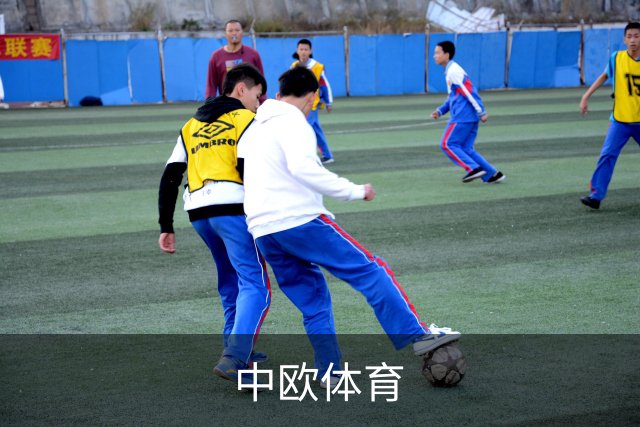 中欧体育公司介绍